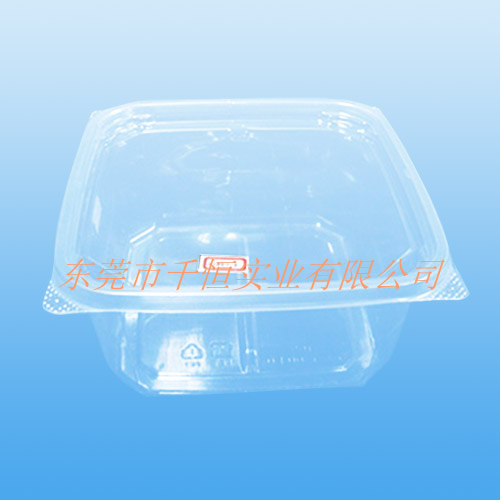 Plastic Tray